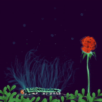 Night Moon GIF