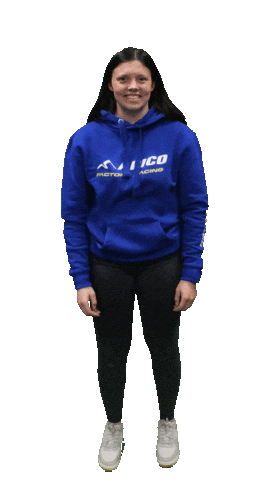 Alicia Trials Sticker by ApicoFactoryRacing