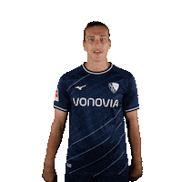 Celebration Goal Sticker by VfL Bochum 1848