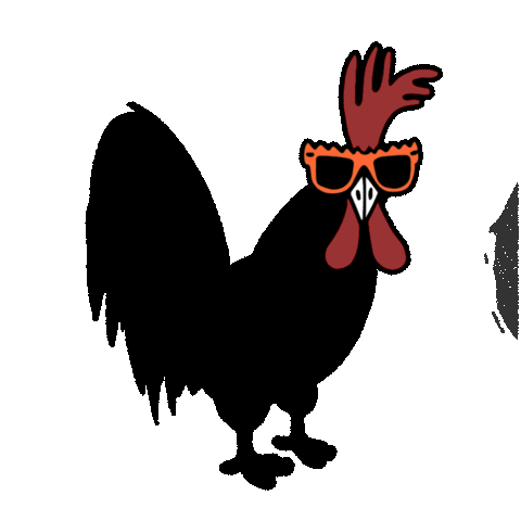 GalloNegrooOK giphyupload bar negro gallo Sticker