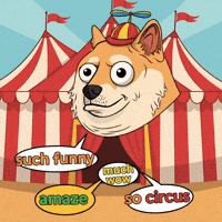 Shiba Inu Lol GIF by Doge Pound