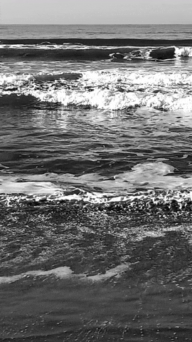 Simongip giphyupload GIF