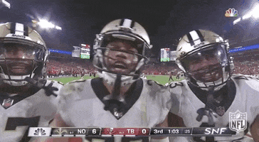 New Orleans Saints Football GIF by NFL