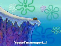 season 3 GIF by SpongeBob SquarePants