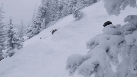 Snowboarding Road Trip GIF by ikonpass