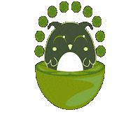 Fruit Owl Sticker