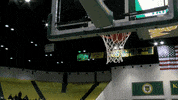 Ball Head GIF by William & Mary Tribe Athletics