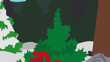 Meet More Forest Critters