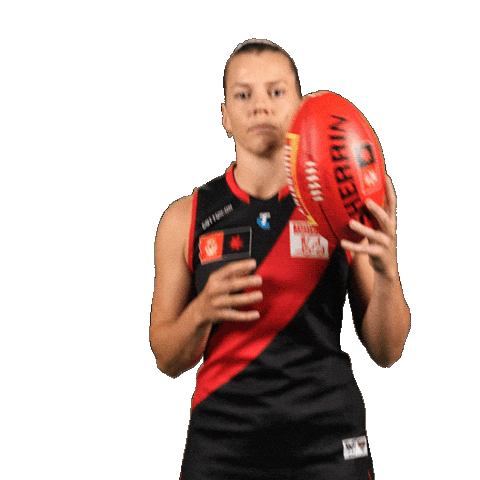 Football Sport Sticker by Essendon FC