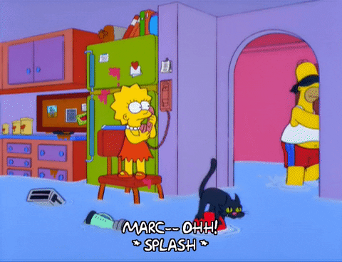 homer simpson episode 10 GIF