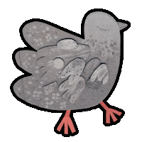 Bird Pigeon Sticker