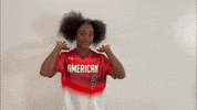 thealliancefastpitch softball fastpitch the alliance fastpitch alliance fastpitch GIF