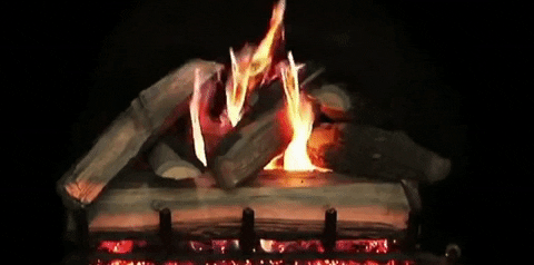 Zincera- giphygifmaker GIF