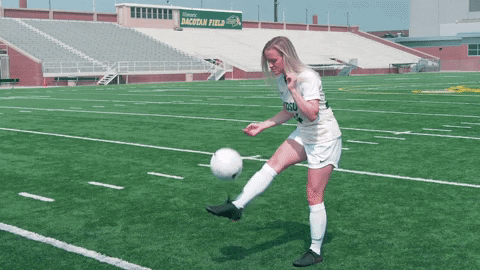 Soccer Bison GIF by NDSU Athletics
