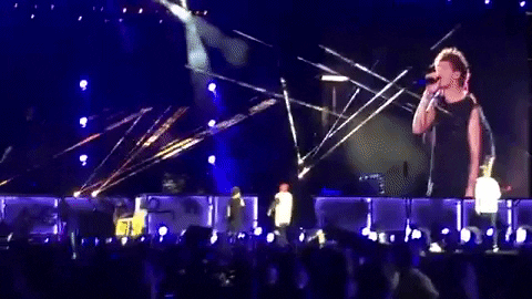tylttylt giphygifmaker liam payne hot dog GIF