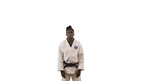 France Sport Sticker by Paris Saint-Germain Judo