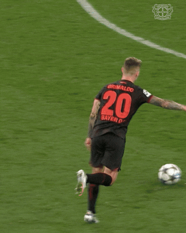 Bayer 04 Goal GIF by Bayer 04 Leverkusen