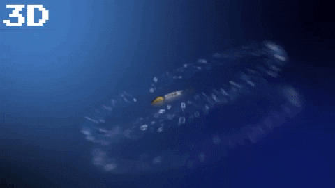 mahmoudaragon giphygifmaker GIF