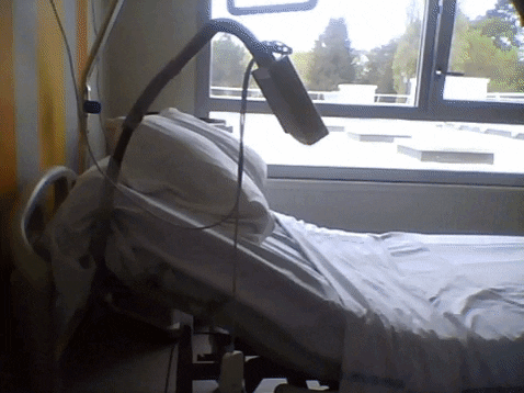 3Dumenieu giphygifmaker hospital GIF