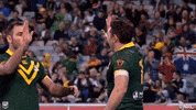world cup rise GIF by NRL