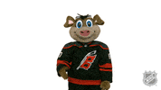 Ice Hockey Sport GIF by NHL