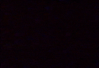 contemporary art GIF by G1ft3d