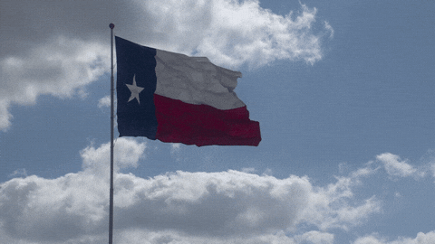 Usa America GIF by NASCAR