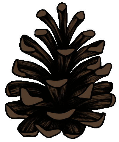 Core Cone Sticker