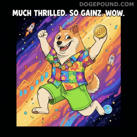 Happy To The Moon GIF by Doge Pound