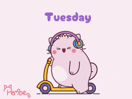 Cat GIF by Pembe