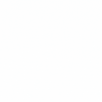 TedysTeam stroke tedysteam GIF