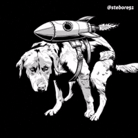 Dog Dogmeme GIF