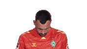 Werder Bremen Sticker by Bundesliga