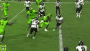 Big Hit Usf GIF by SoFloBulls