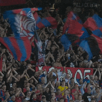 Celebrate Premier League GIF by Crystal Palace Football Club
