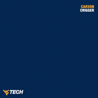 Baseball GIF by WVU Tech Golden Bears