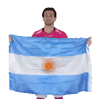 Football Sport Sticker by INDEPENDIENTE DEL VALLE