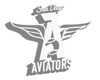 Coco Vandeweghe Tennis Sticker by San Diego Aviators