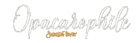 Sunset Lover Love Sticker