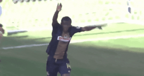 celebration flipping GIF by Philadelphia Union