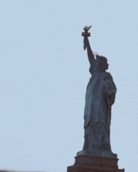 New York Sundance GIF by Respective