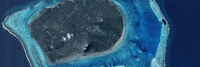 AllenCoralAtlas  GIF