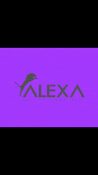 Alexa_safety_security safety security alexaprotection alexasafesecurity GIF