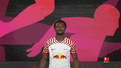Rb Leipzig Football GIF by Bundesliga