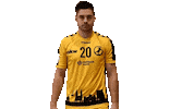 Party Ante Sticker by Bregenz Handball