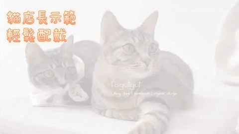 fagutgut giphyupload GIF