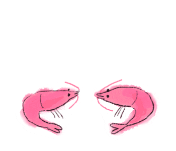 susizuman giphyupload heart shrimp はと Sticker