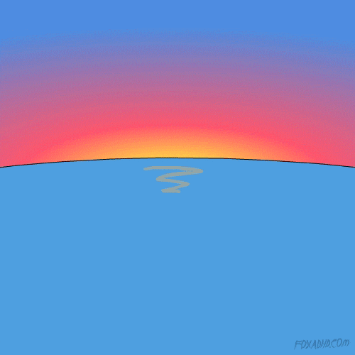 Summer Sunset GIF by Animation Domination High-Def