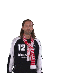 Handball-Bundesliga Fan Sticker by LIQUI MOLY HBL