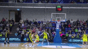 euroleague women wnba GIF by Cecilia Zandalasini